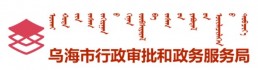 中共乌海市行政审批和政务服务局支部委员会